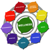 What is a Wellness Plan? | Wellness Works NW