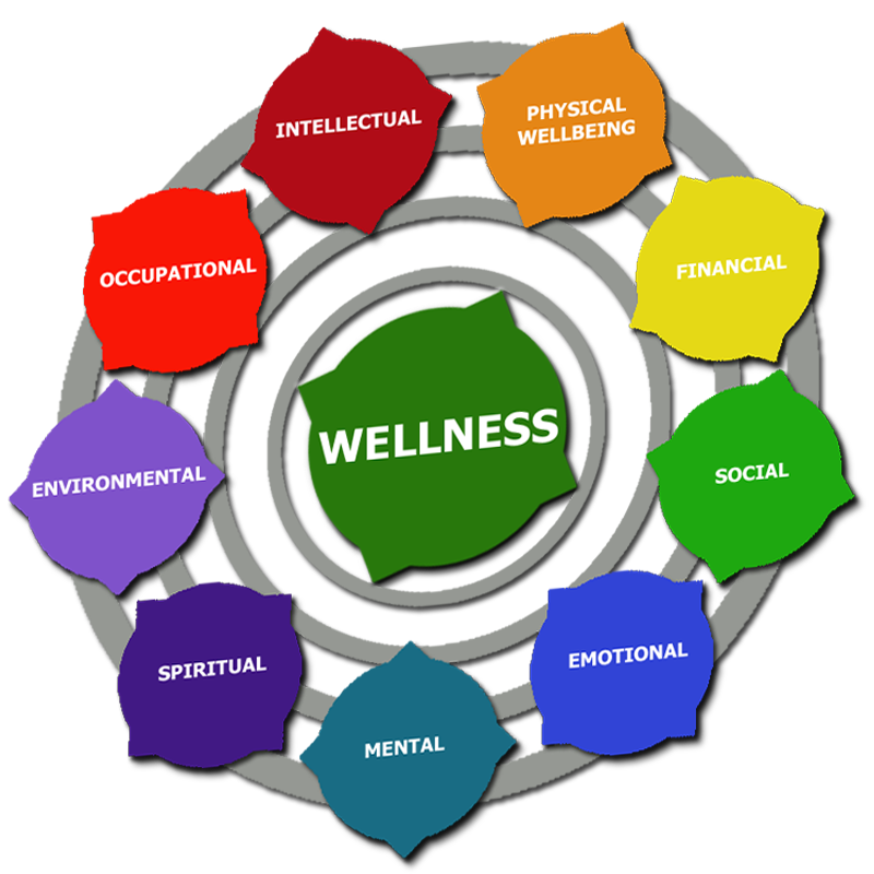 What Is A Wellness Plan Wellness Works NW